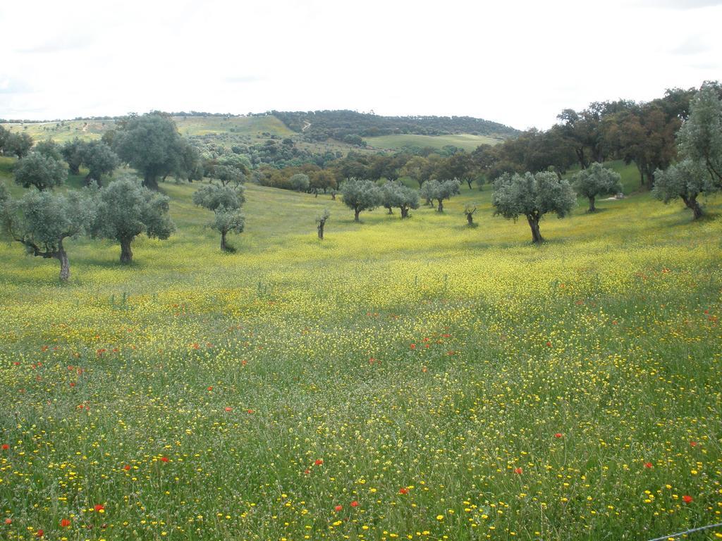 فيلا Quinta Da Mata Sobral  الغرفة الصورة