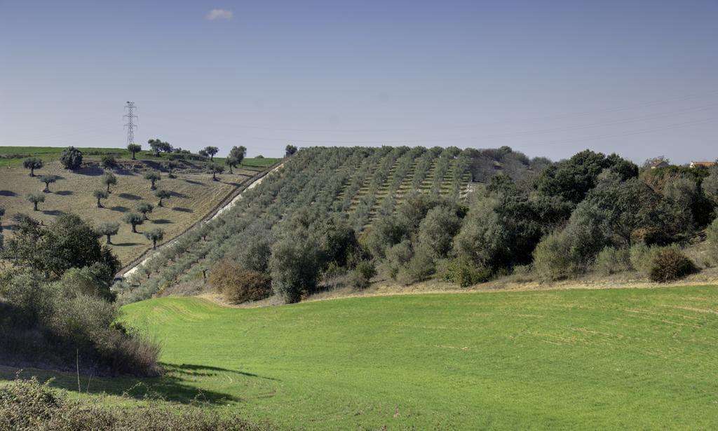 فيلا Quinta Da Mata Sobral  الغرفة الصورة