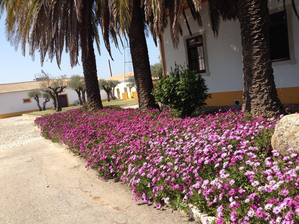 فيلا Quinta Da Mata Sobral  الغرفة الصورة